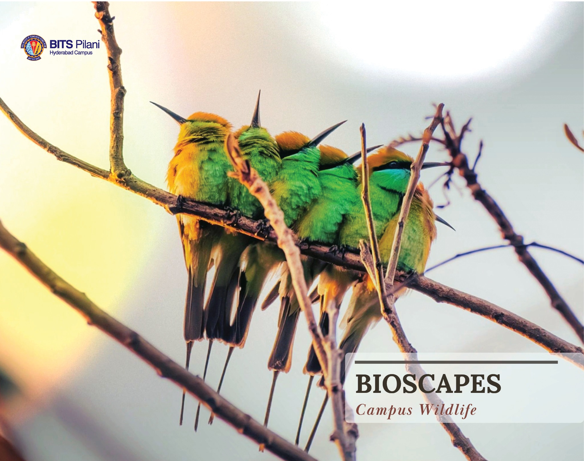 BITS Pilani Hyderabad — Bioscapes Campus Wildlife