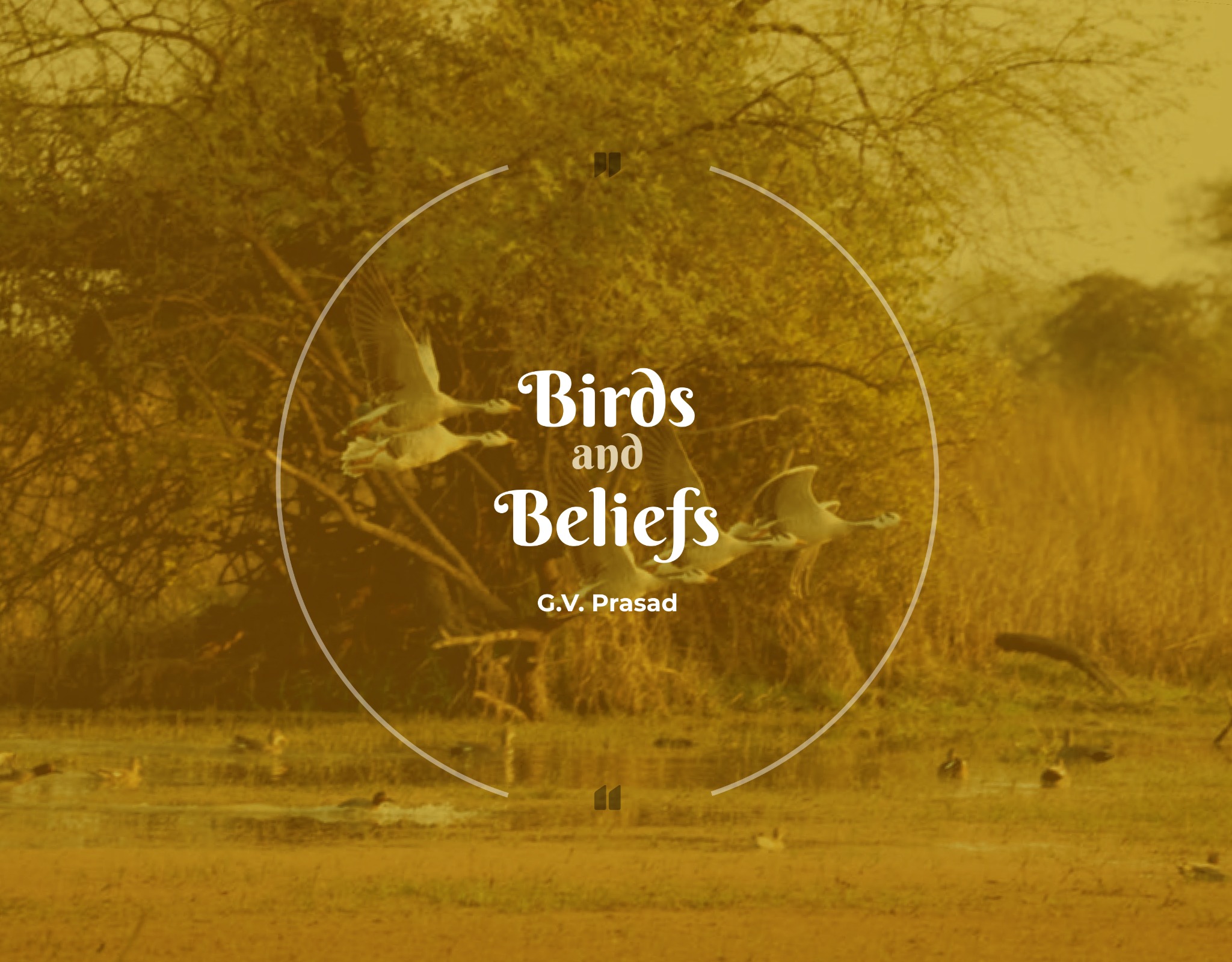 Dr. Reddy's — Birds and Beliefs