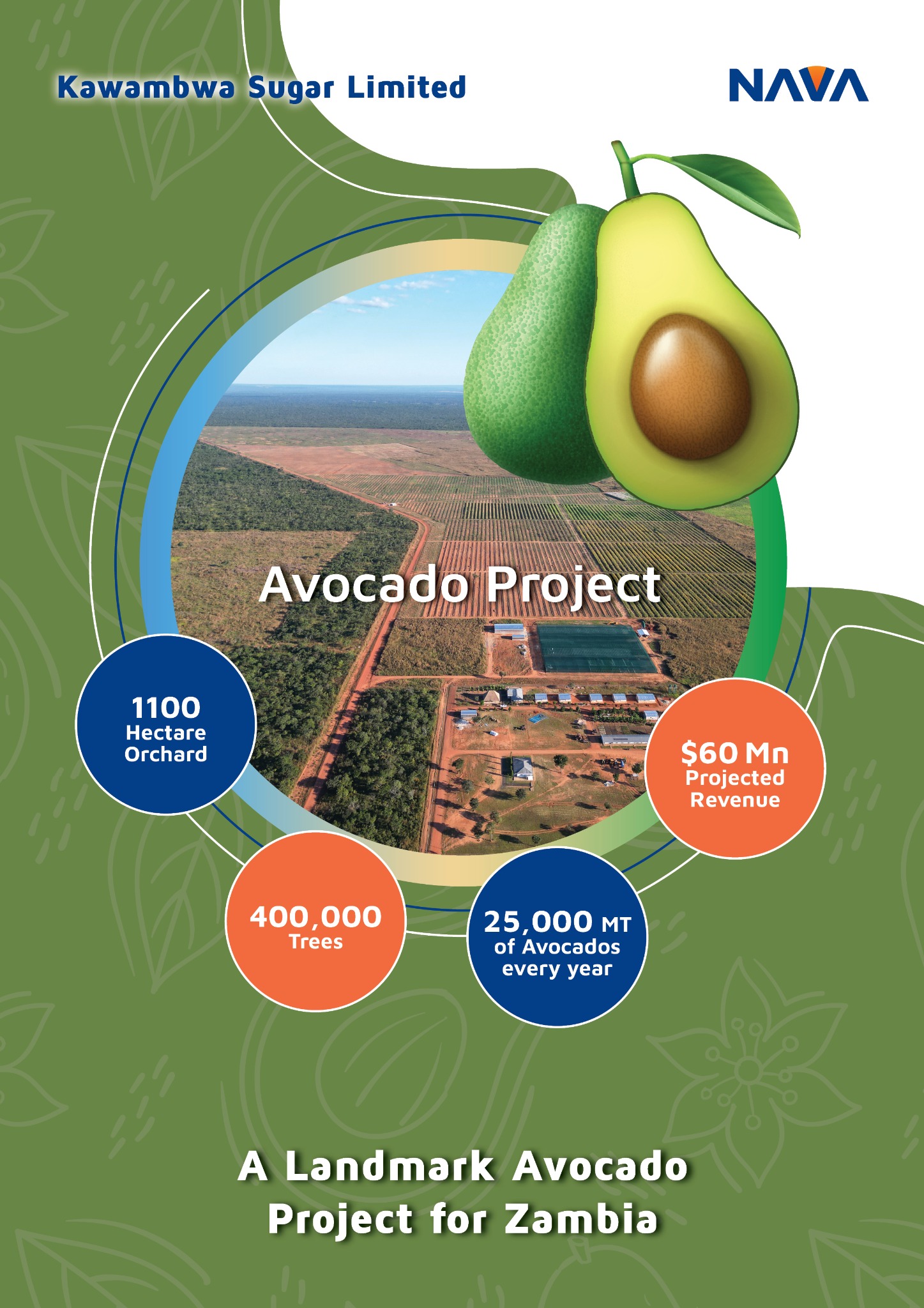 Kawambwa Sugar Limited — Avocado Project